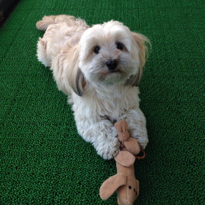 A9ccd212 09db 45da a3a8 c90676ecb5ef