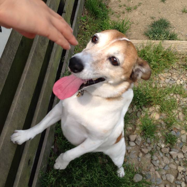 A9cd0ada 83f6 422f 9b4e f2abaad3ff84