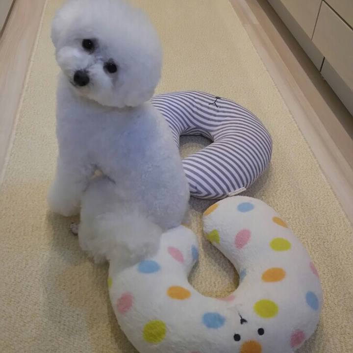 A9cde8ba 5d68 45d9 a47f e71b2c326639