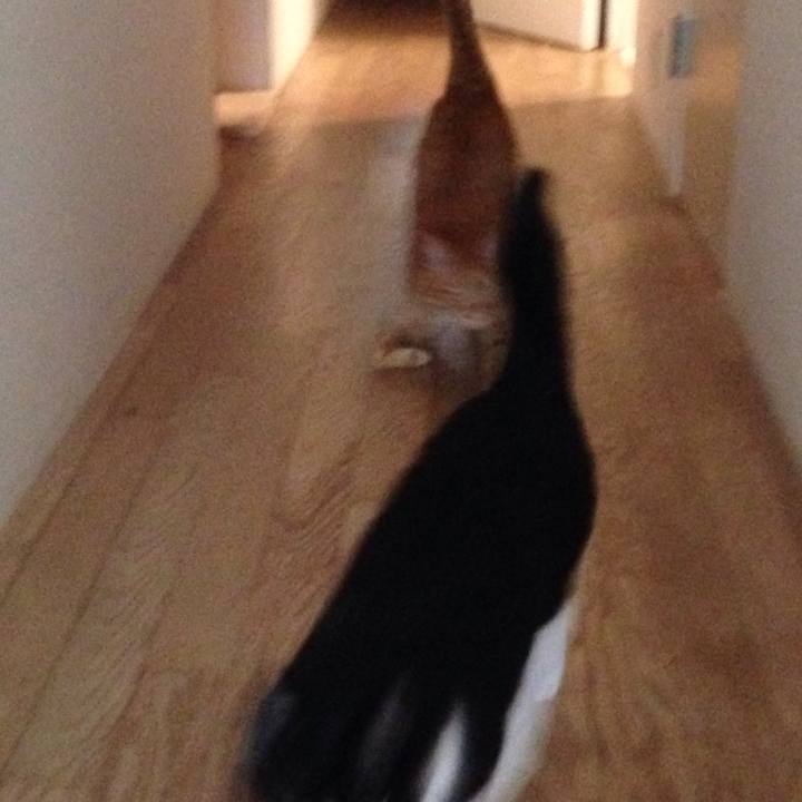 A9ce88e6 0d70 43e0 ac49 6d2b92c16f51