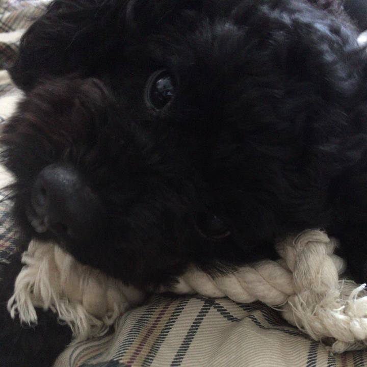 A9cea352 a511 4b91 9ded fc39dea2280e