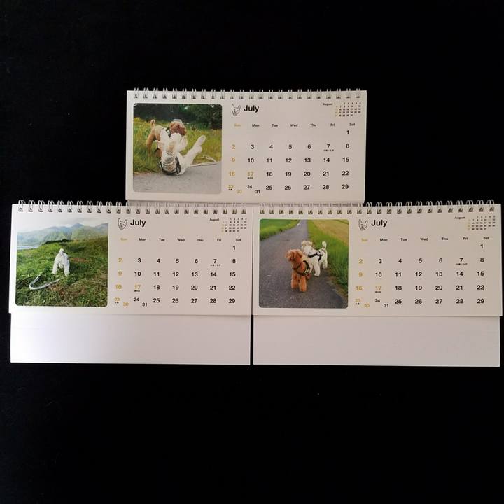 A9ceb653 ad78 4f94 97e3 a591ed1abe72