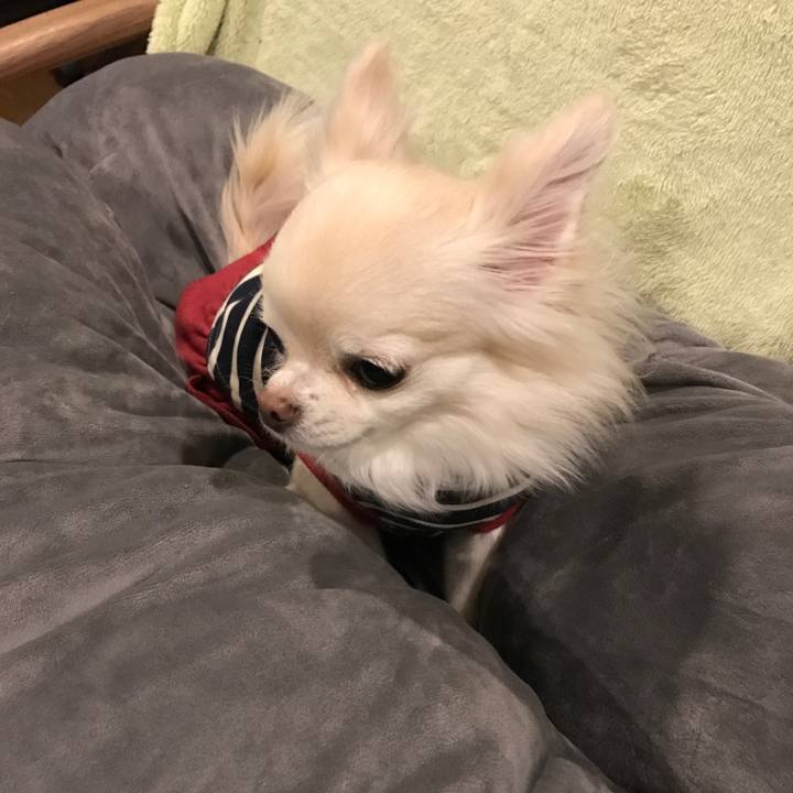 A9cf4350 bc78 4325 a225 8df9a694e769