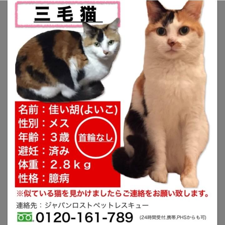 A9cf5767 4607 42c4 9364 602d9521293e