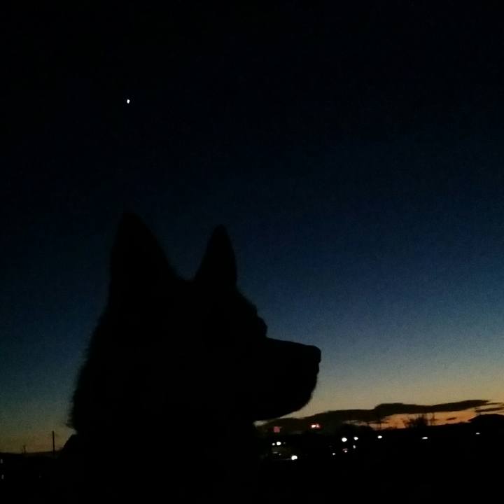 A9cf79eb 4272 4cfb a1af 022793d01db5