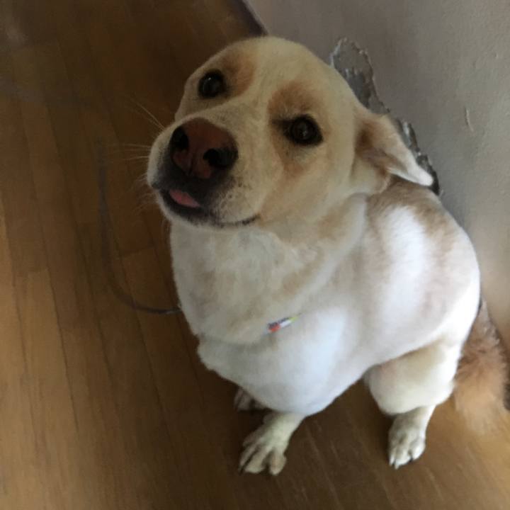 A9cf93da 7364 4010 b074 7b5ddb5b7d7b