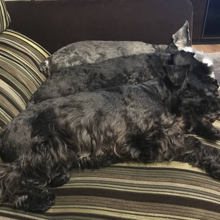 A9cf9ba1 560e 45c9 9627 173162053794