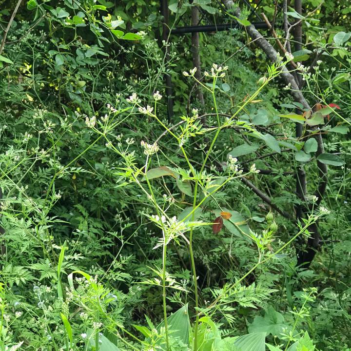 A9cfc176 9941 47d6 8878 a9b23b830c98