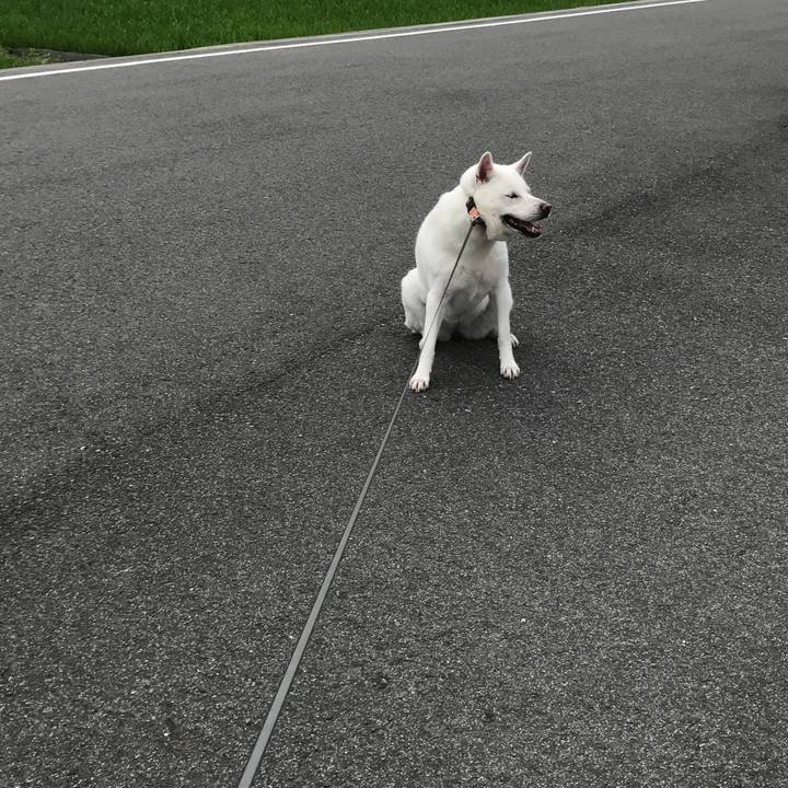 A9d055b1 228f 43a6 ad8b e1bfbefcc1cd