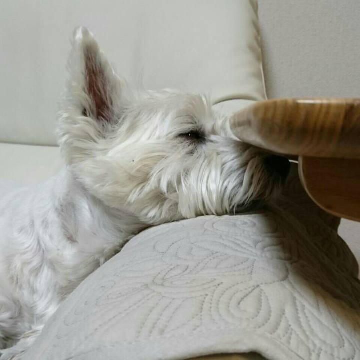 A9d06ec1 cf03 4c52 ab06 c2f09a4da32f