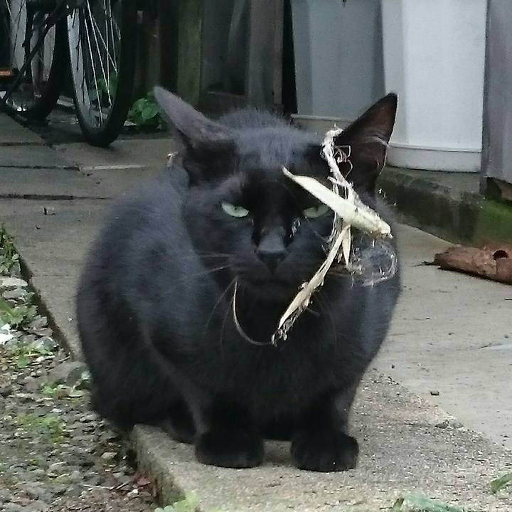 A9d095be 2292 4662 83de f6598eba7212