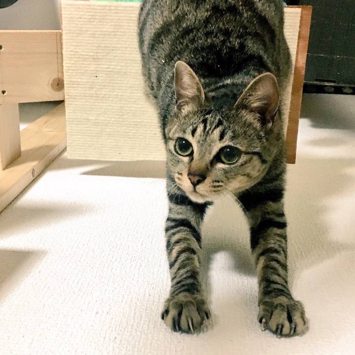 A9d13730 70cb 48d9 aea3 01a4bdfe2575