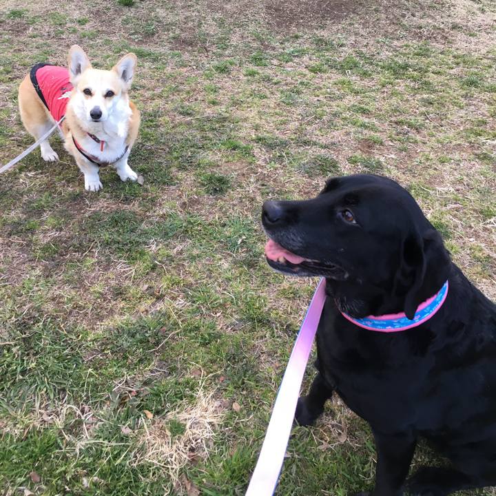 A9d27f72 3004 43cc 9359 34650f89fe8f