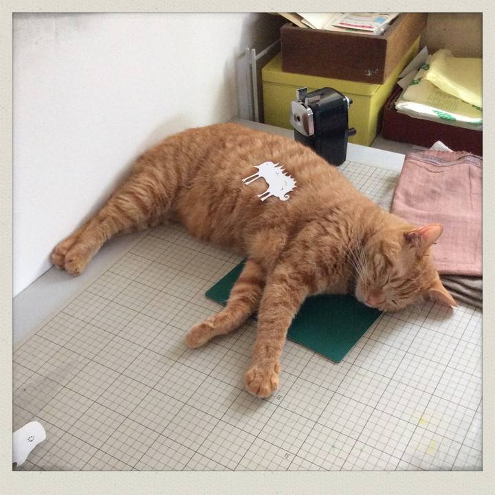 A9d2a64c e54b 44d9 ada5 95c294108aea