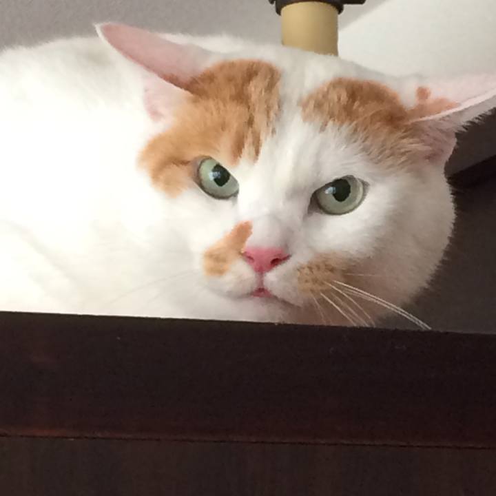 A9d2c784 f06b 4986 a166 6d391da96d0f