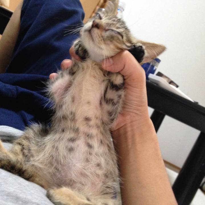 A9d2df5f dfeb 4ba4 be8b 69163f87328b