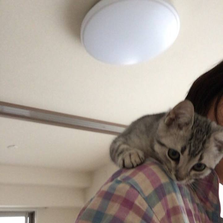 A9d2e21e 622a 433c b832 d958b1b0a112