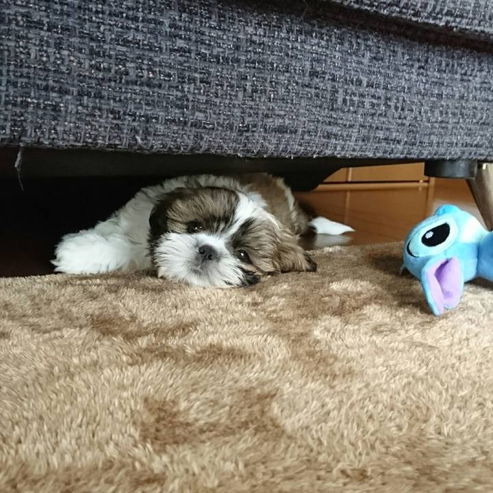 A9d31342 4ac5 4f72 8ba1 f7cecb7bd482