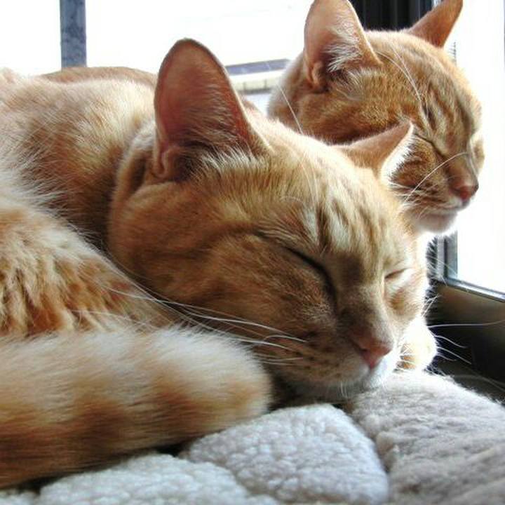 A9d388bc dda7 4ae2 ab46 7afe0f19db1a