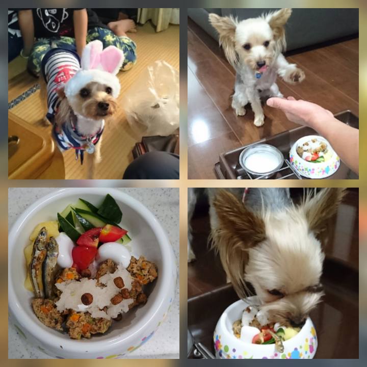 A9d4daed 8da5 4a42 9d71 f17a7d38514c