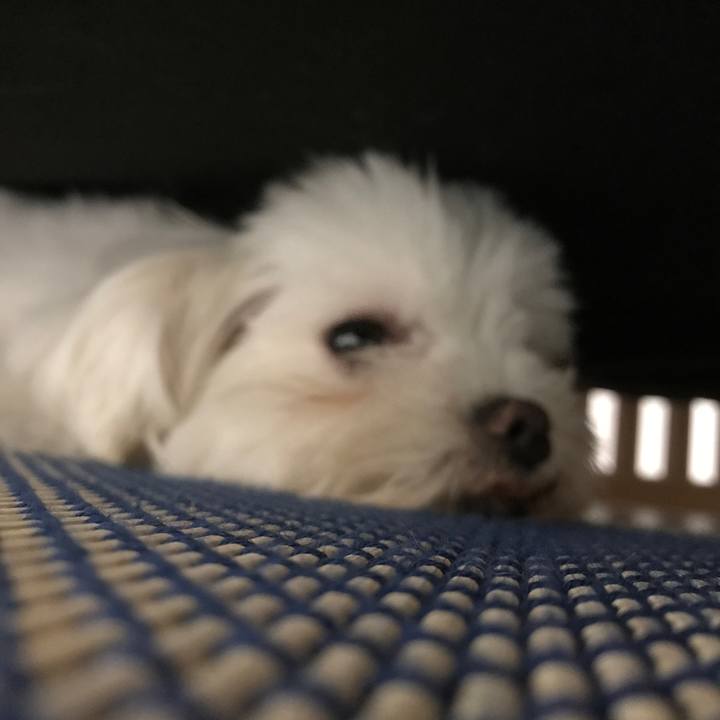 A9d4fbb7 7ab4 48b6 af8e 5e4bc8d65ade