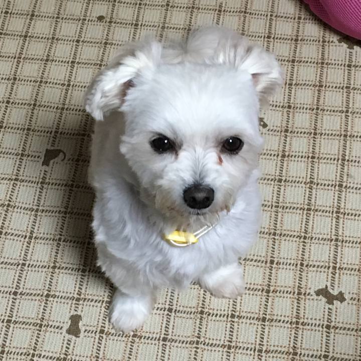 A9d62eef af87 4f12 901b cac7109ee09e