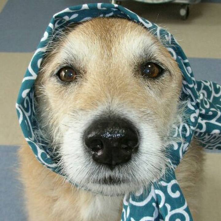 A9d6dc75 d445 4b81 8cb1 ca622e5ebdf1