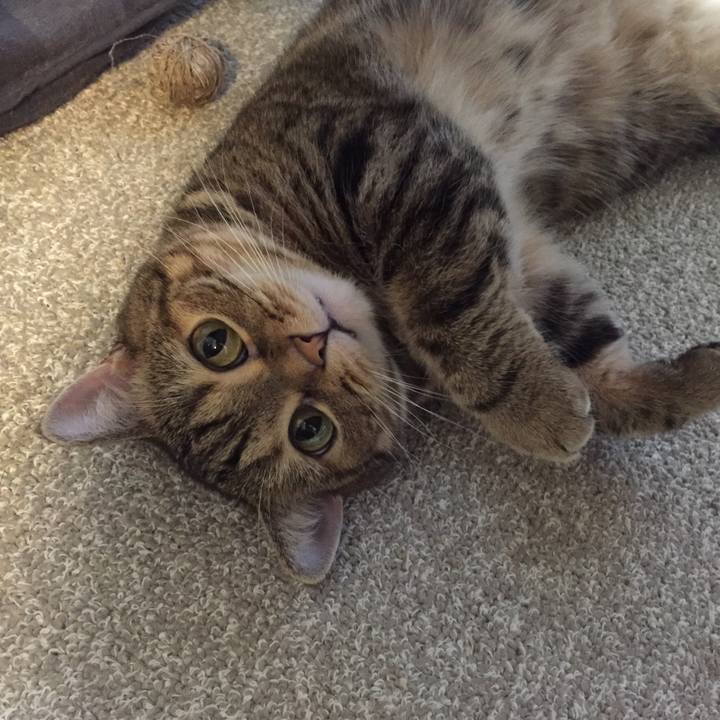 A9d72da6 fd80 4897 a384 9d832876c447