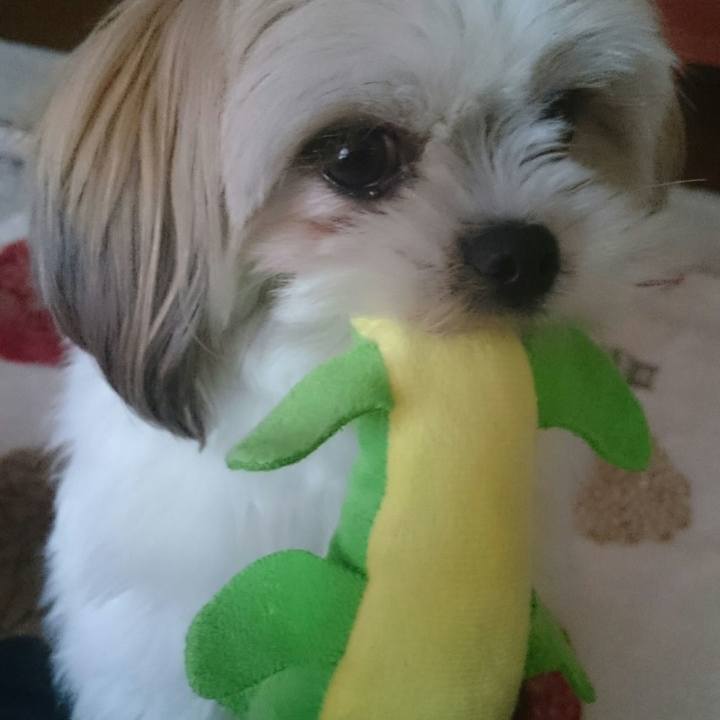 A9d7400d 5b57 4613 9dce a7a93df02717