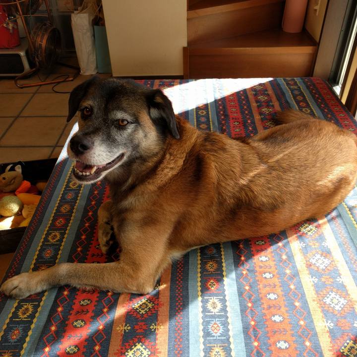 A9d7440f f799 447f a376 4fa51e46f426