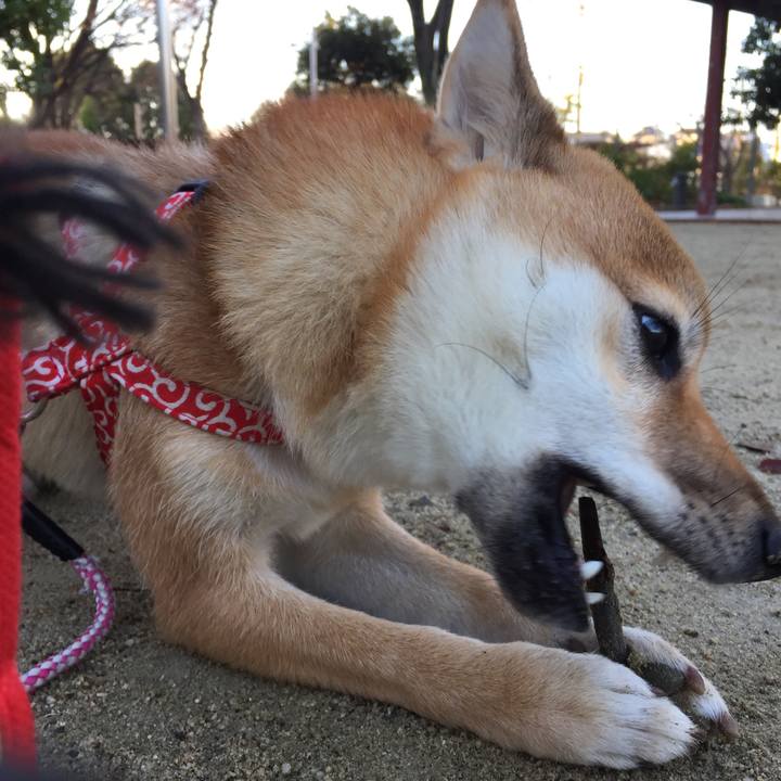 A9d747a8 d8e4 40ea 81e0 ae6d2ed64be2