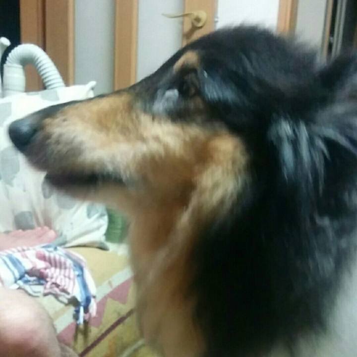 A9d77057 35a4 4e0c 8195 4564fd672bf2