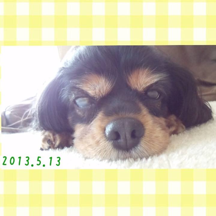 A9d79bb3 dbc0 4395 ad49 9f178071cba9