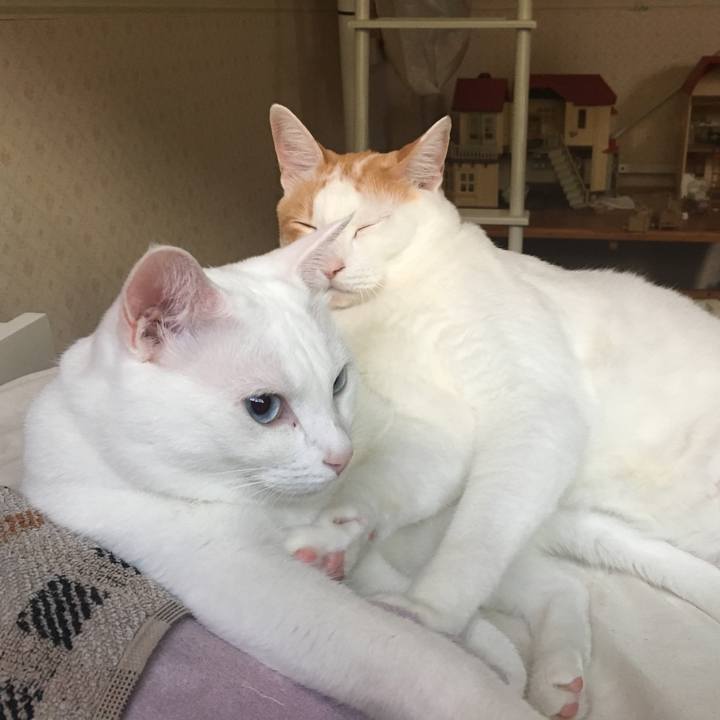 A9d7f31b 5a26 4e80 8861 48bb14dafee1