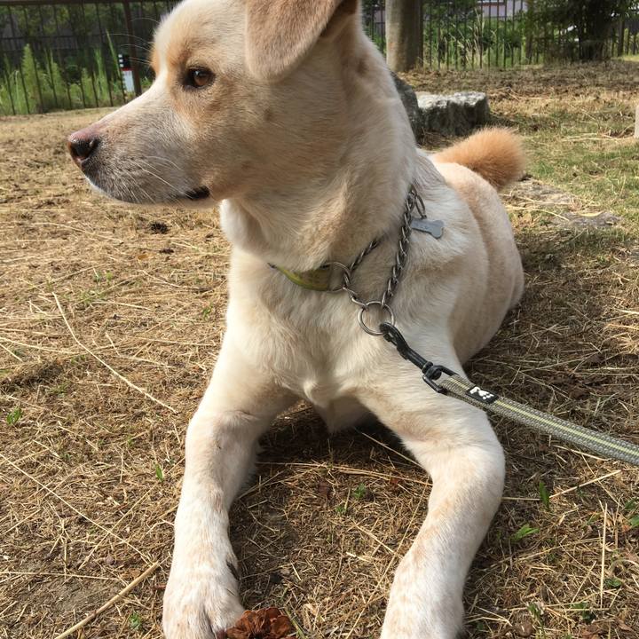 A9d8695f 4721 4ef5 8ca0 215be63050d0