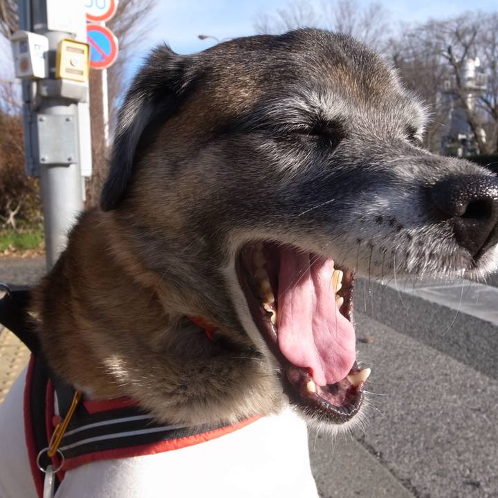 A9da5803 f29b 47f4 9f58 7229c98b438e