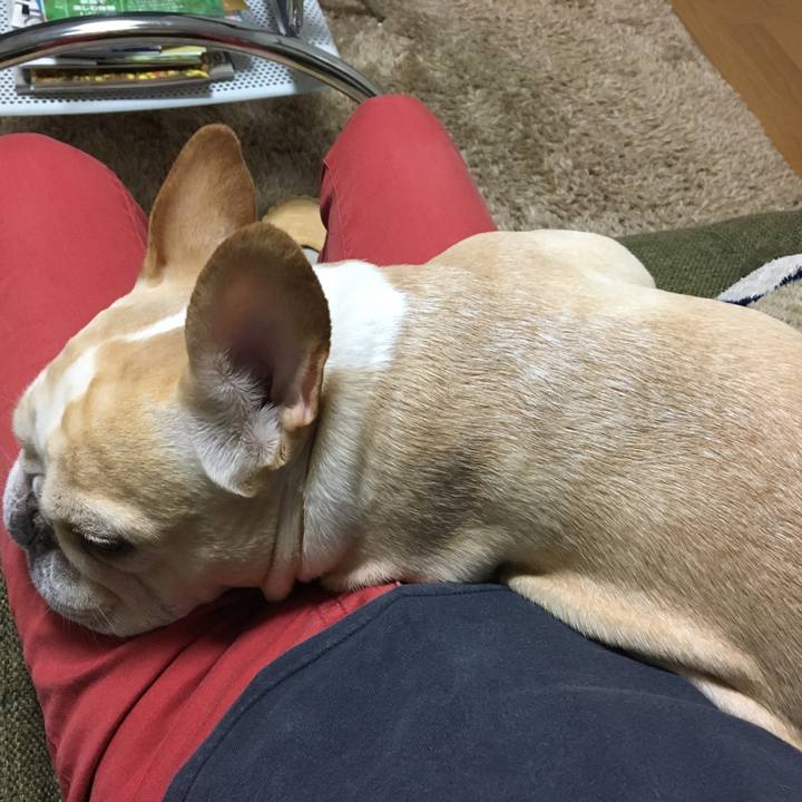 A9da6ef5 448c 4020 aa0c c55b5b325e8e