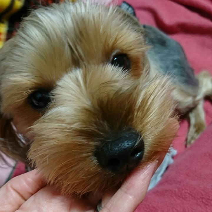 A9dab974 e561 4832 89f6 af646b82c1a4