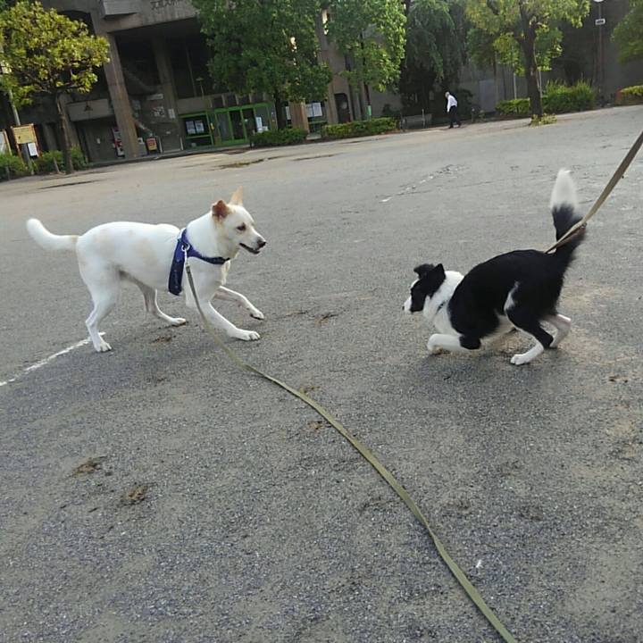 A9db2574 aa6d 4805 b84f 028ef7cf7bbf