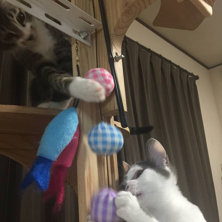 A9db650f 1844 4515 aa1f 32522e699a9b