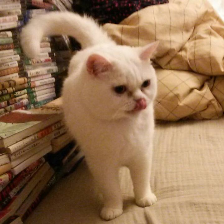 A9dc1d85 bba5 4d74 b998 7ea34cfdaaf8