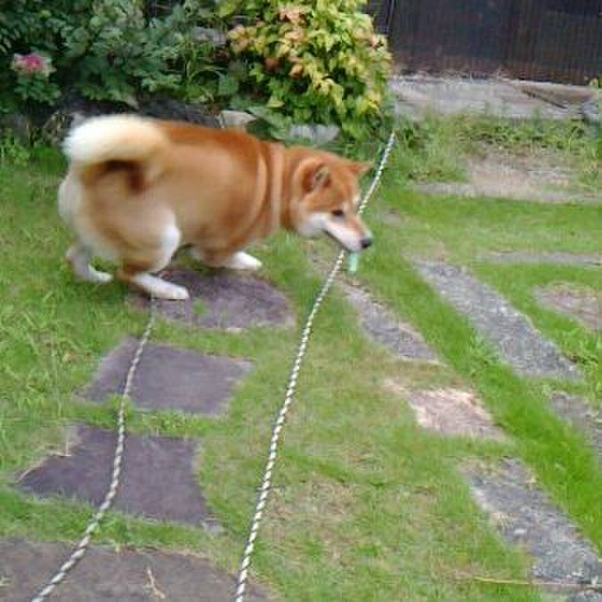 A9dc2099 ce6b 4bc0 ab5a 45af95e4a849