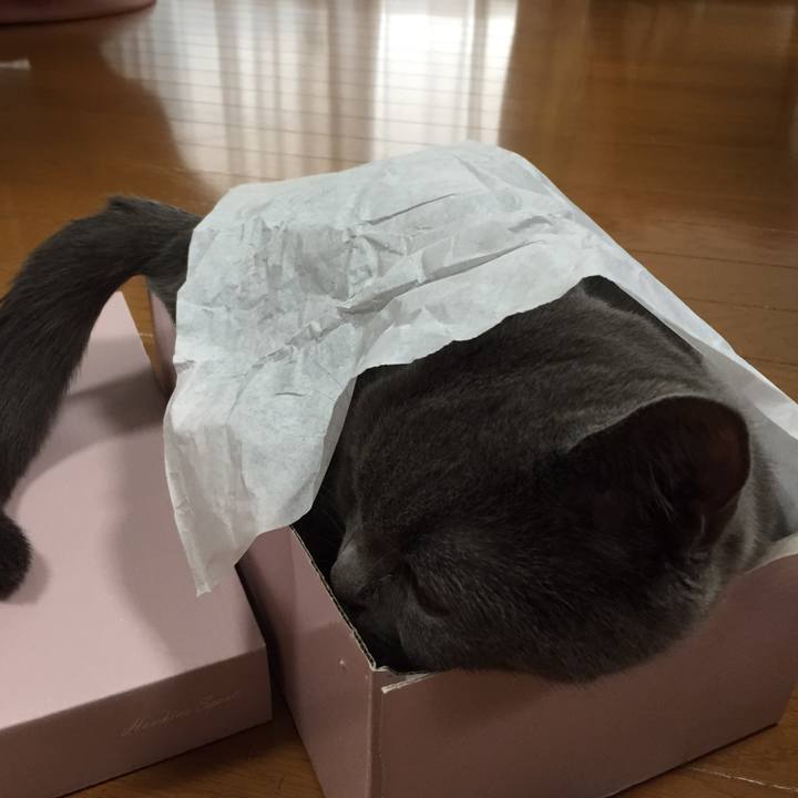 A9dc5197 36f0 433c a980 ef4dafee7112