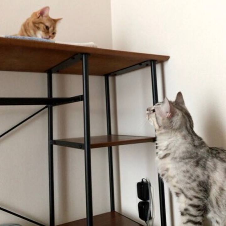 A9dd0bf6 9745 4a3b b6e0 4ef074d2e92f