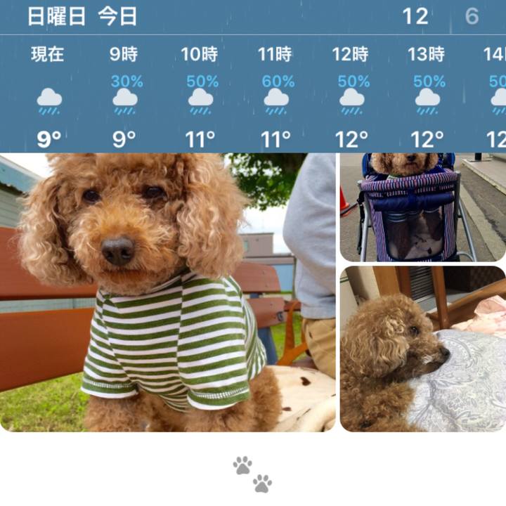 A9dd6dd8 c8fd 4de8 b674 89aa5241cf2c