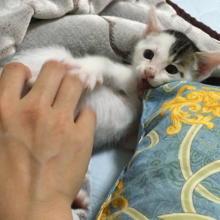 A9dd8541 86f9 4dca 8831 e98a8bc33ef4