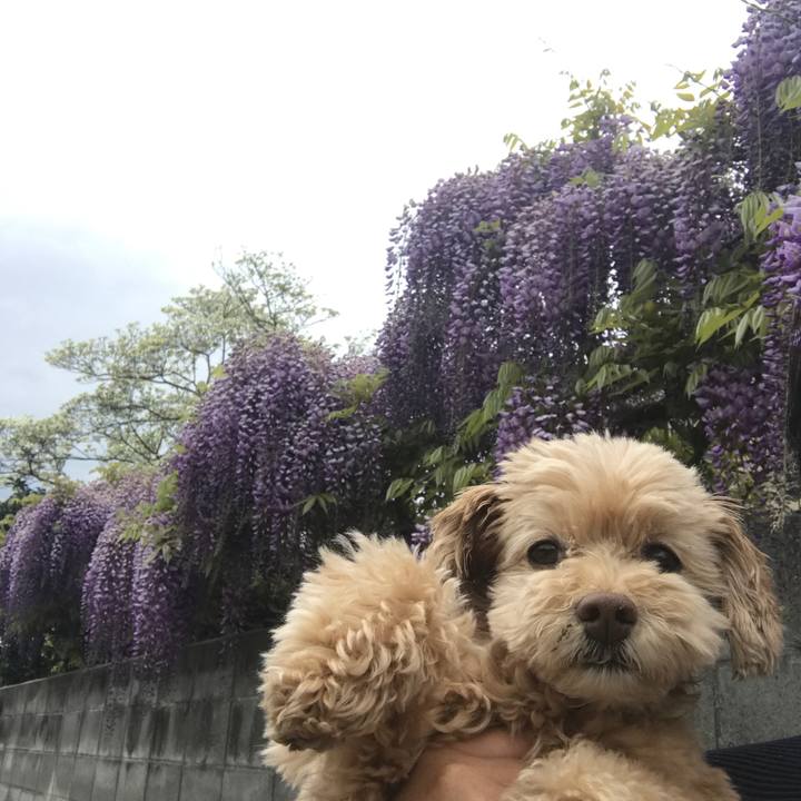 A9ddb9b0 42ee 4eb0 b4aa 89b17fe3bed8