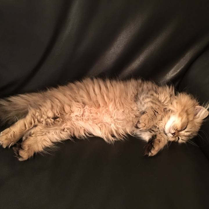 A9ddc19c 8597 4098 bc46 87be6a00710d