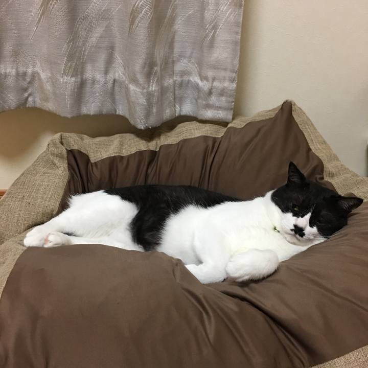 A9de2056 7563 40a4 989a db36bcb35ef9