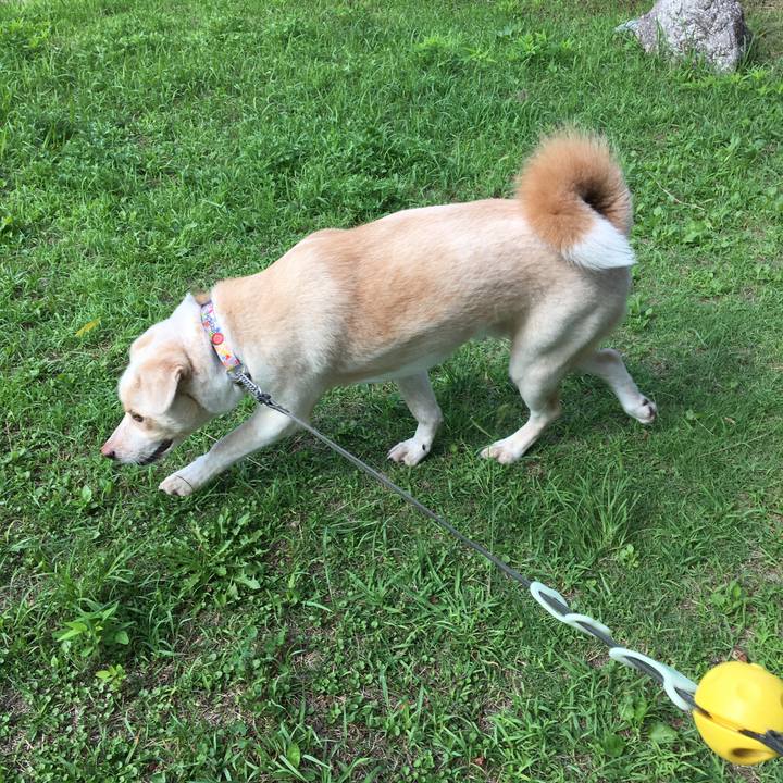 A9de334f 70ec 4baa 9595 f5d0ac1ee5d0